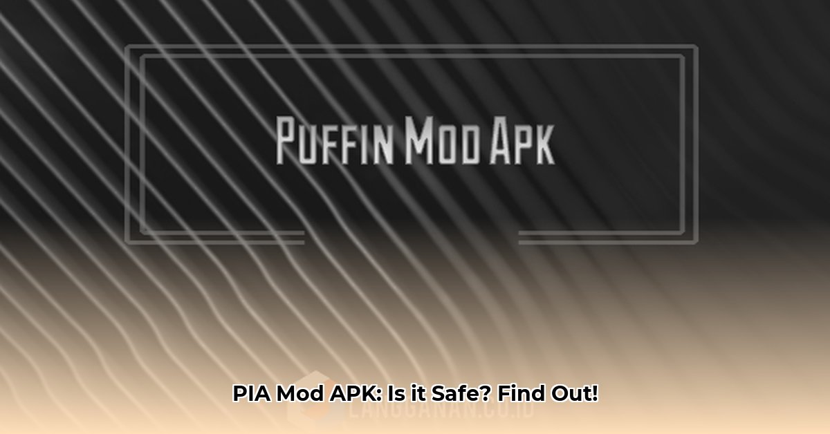 privateinternetaccess-mod-apk
